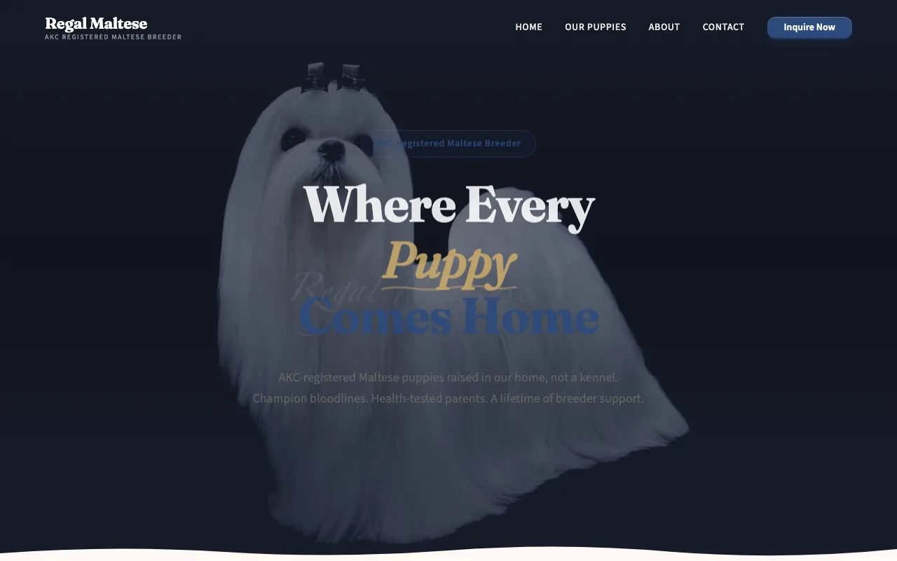 Regal Maltese preview